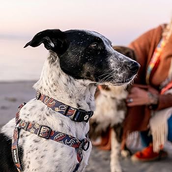 Amazon | WOLFGANG/ウルフギャング DigiFloral Harness (Mサイズ